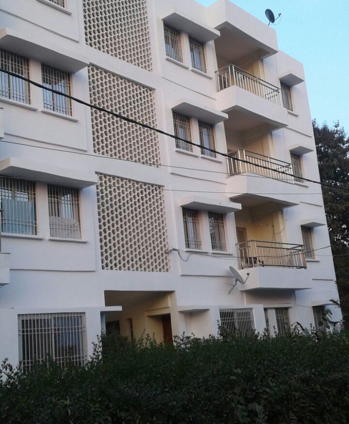 Halcons Projects – 2